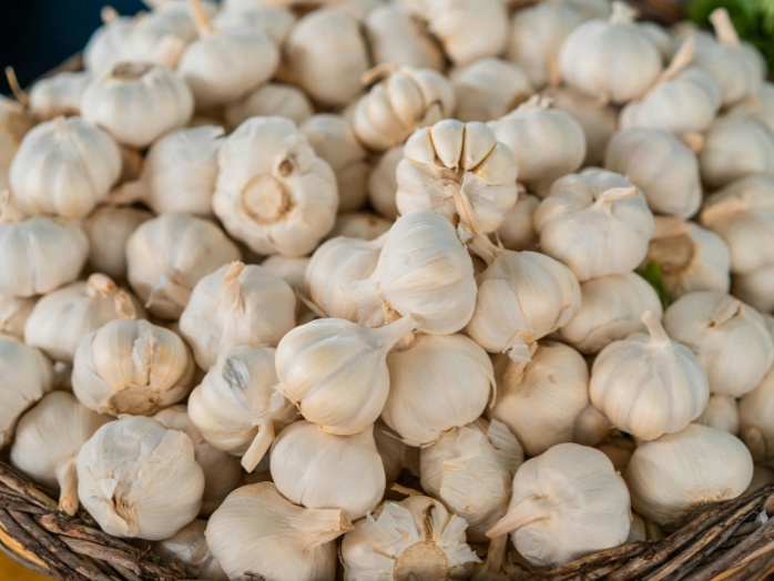 Crisis en el mercado del ajo: precios históricos bajos y excedente de importaciones