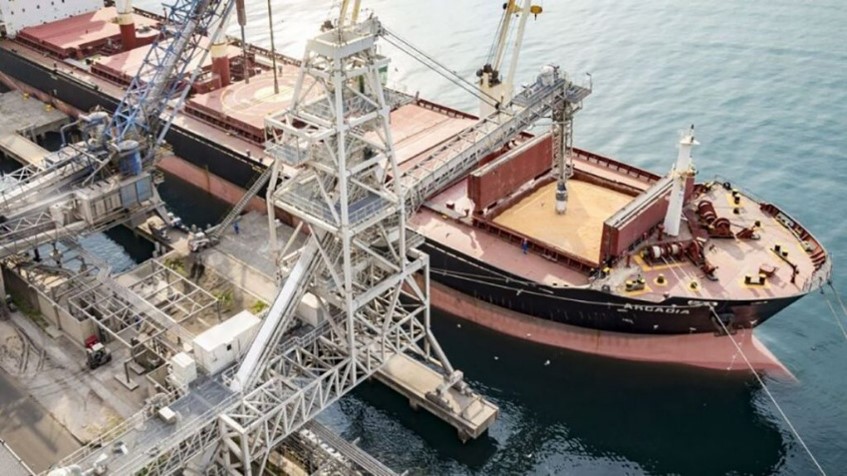El agro explicó el 57% de las exportaciones argentinas durante el primer semestre de 2026