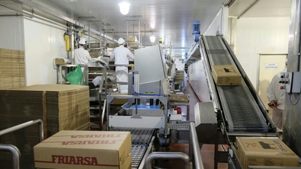 Friar suspendió decenas de trabajadores en Reconquista por caída en la faena