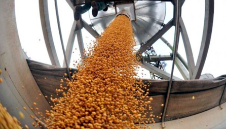 La agroindustria consolida su liderazgo y representa el 22% del Producto Bruto Interno argentino