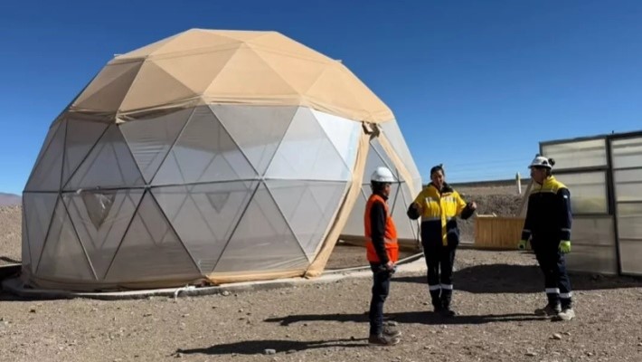 La Puna avanza en la conservación de especies nativas con un Banco de Semillas e Invernadero