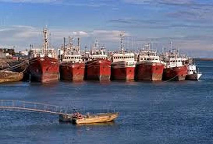 Pesca en expansión: cae la fiscalización en el Mar Argentino
